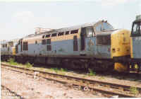 37175.jpg (131859 bytes)