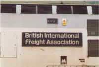 37194-n.jpg (121206 bytes)