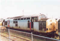 37701.jpg (136463 bytes)