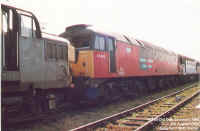 47492.jpg (127557 bytes)