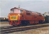 D1015-1.jpg (140469 bytes)