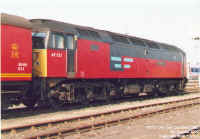 47721.jpg (147335 bytes)