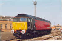 47843.jpg (117547 bytes)