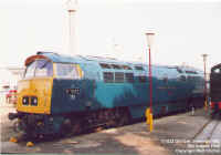 D1023.jpg (120609 bytes)