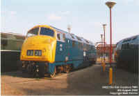 D832.jpg (128982 bytes)