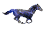 blackhorse.gif (19661 bytes)
