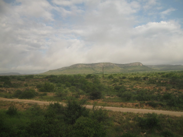 6838 Mardi Gras painted
        wall color 