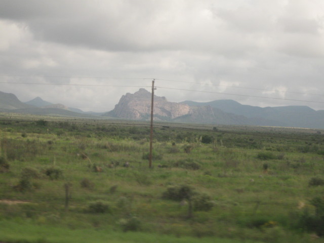 6841 Mardi Gras painted
        wall color 