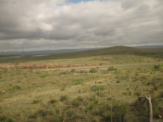 6843 Mardi Gras painted
        wall color 