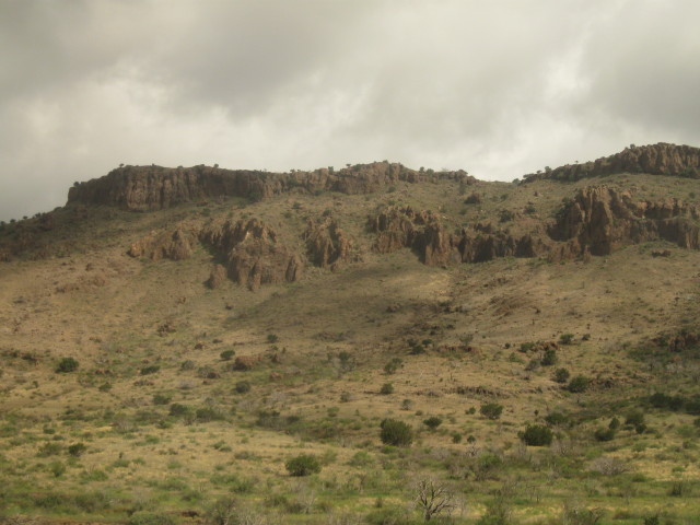 6851 motel room with
        Mardi Gras painted wall color 