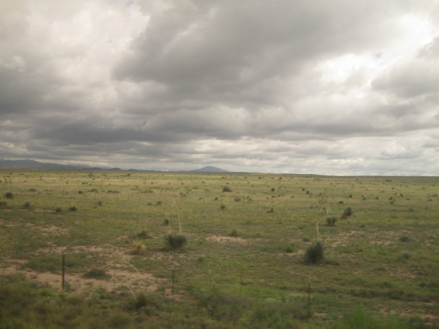 6853 Mardi Gras painted
        wall color 