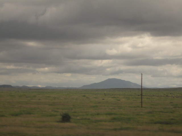 6854 Mardi Gras painted
        wall color 