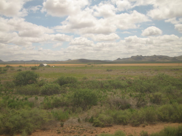 6856 Mardi Gras painted
        wall color 