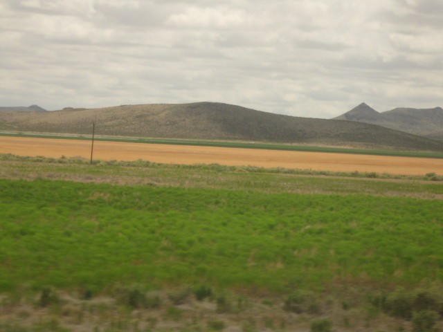 6857 Mardi Gras painted
        wall color 