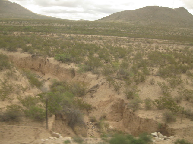 6862 Mardi Gras painted
        wall color 