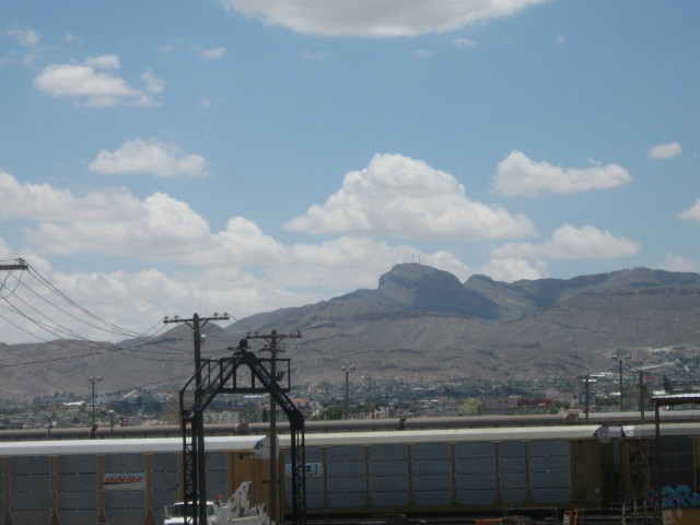 6878 motel room with
        Mardi Gras painted wall color 