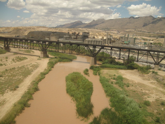 6884 Mardi Gras painted
        wall color 