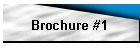 Brochure #1