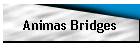Animas Bridges