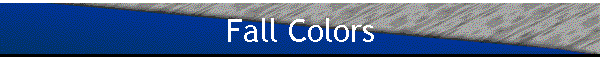 Fall Colors