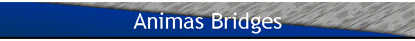 Animas Bridges
