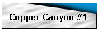 Copper Canyon #1