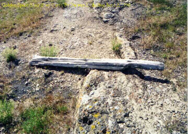 Golden Spike - Old Railroad Tie