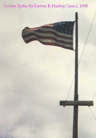 Golden Spike: USA Flag - 20 Stars