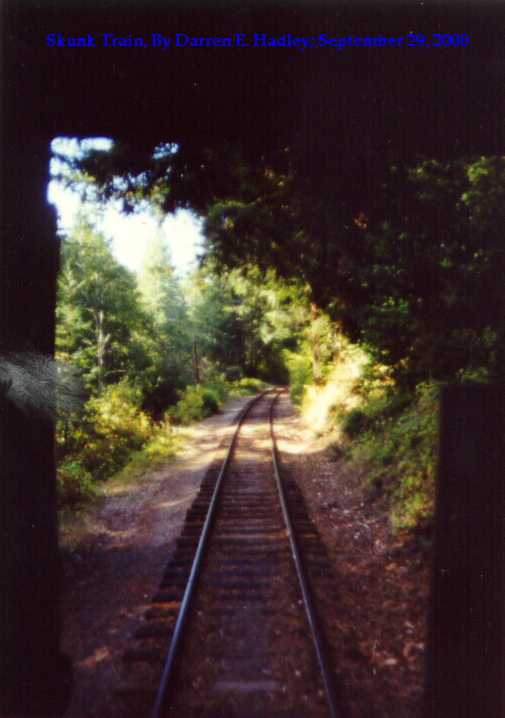 Skunk Train - Wolf Tree Run