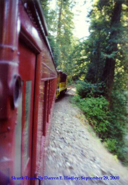 Skunk Train - Wolf Tree Run