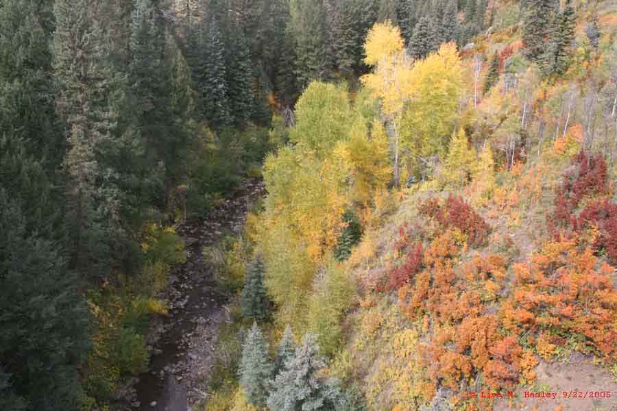 Cumbres & Toltec Scenic Railroad