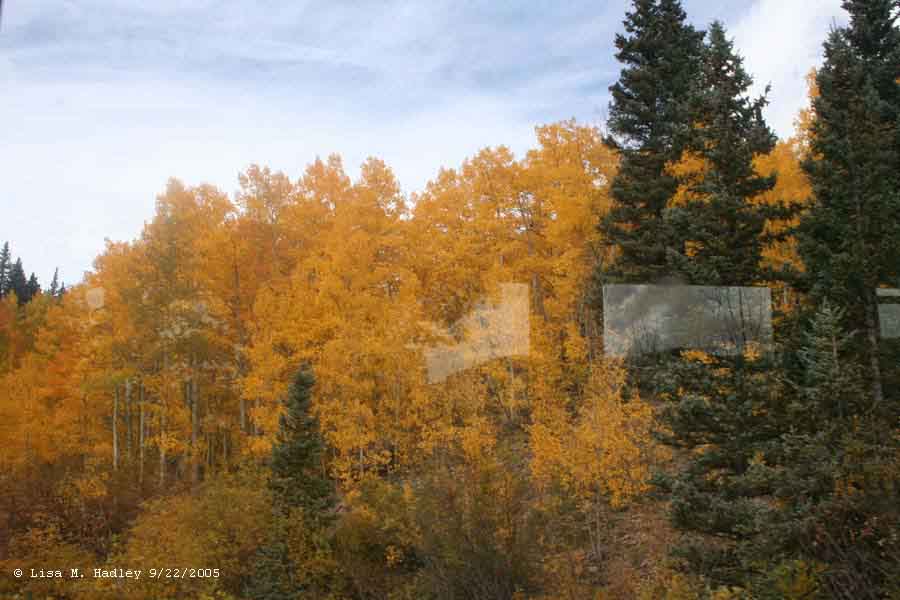 Cumbres & Toltec Scenic Railroad