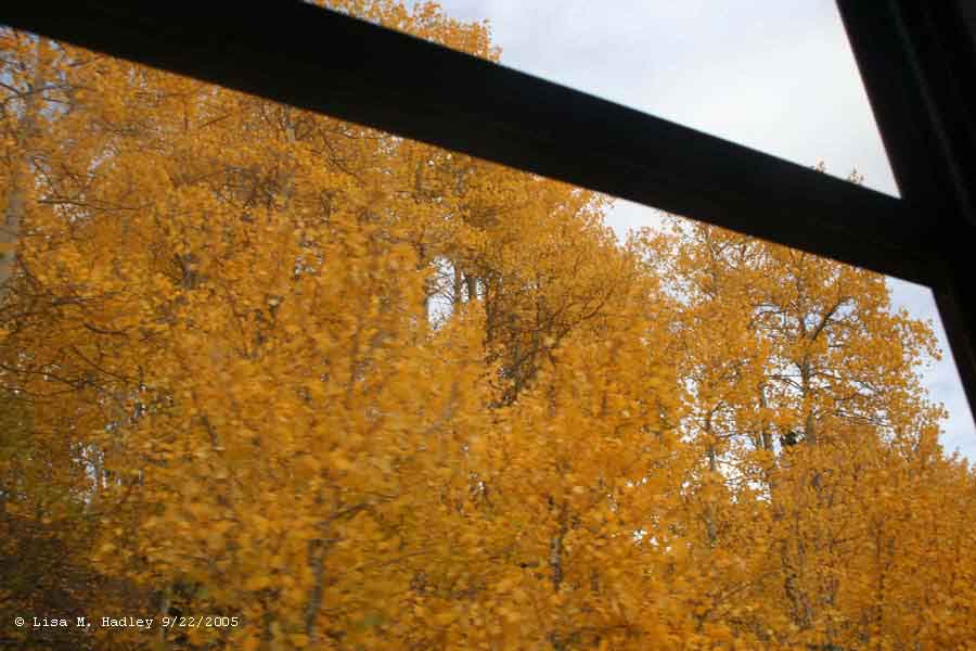 Cumbres & Toltec Scenic Railroad