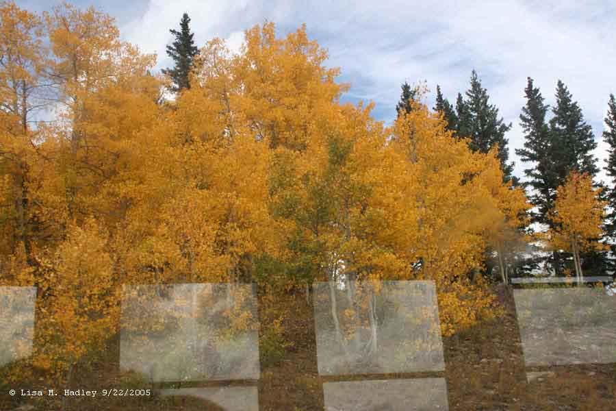 Cumbres & Toltec Scenic Railroad