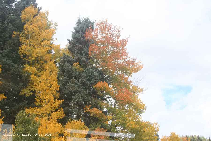 Cumbres & Toltec Scenic Railroad