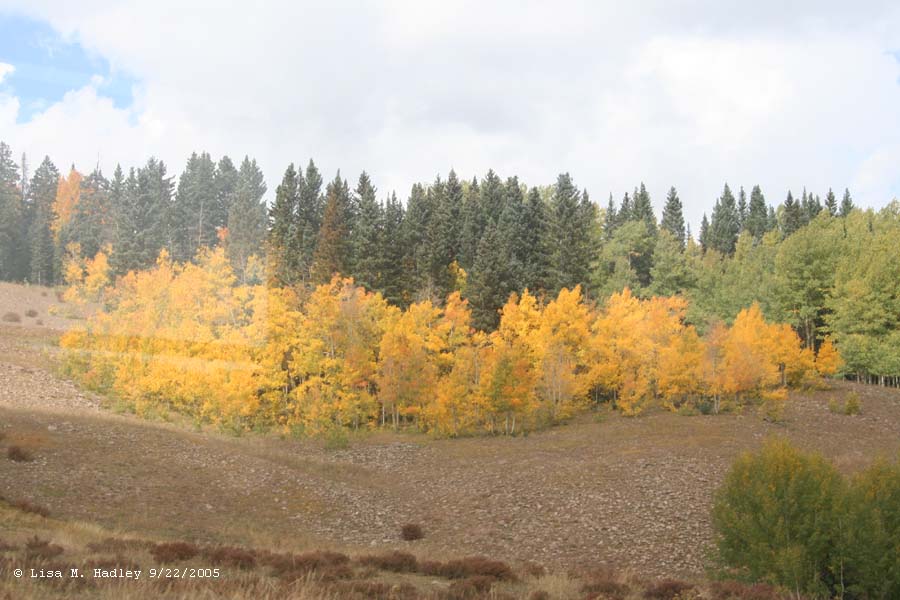 Cumbres & Toltec Scenic Railroad
