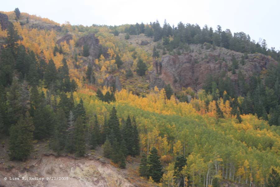 Cumbres & Toltec Scenic Railroad