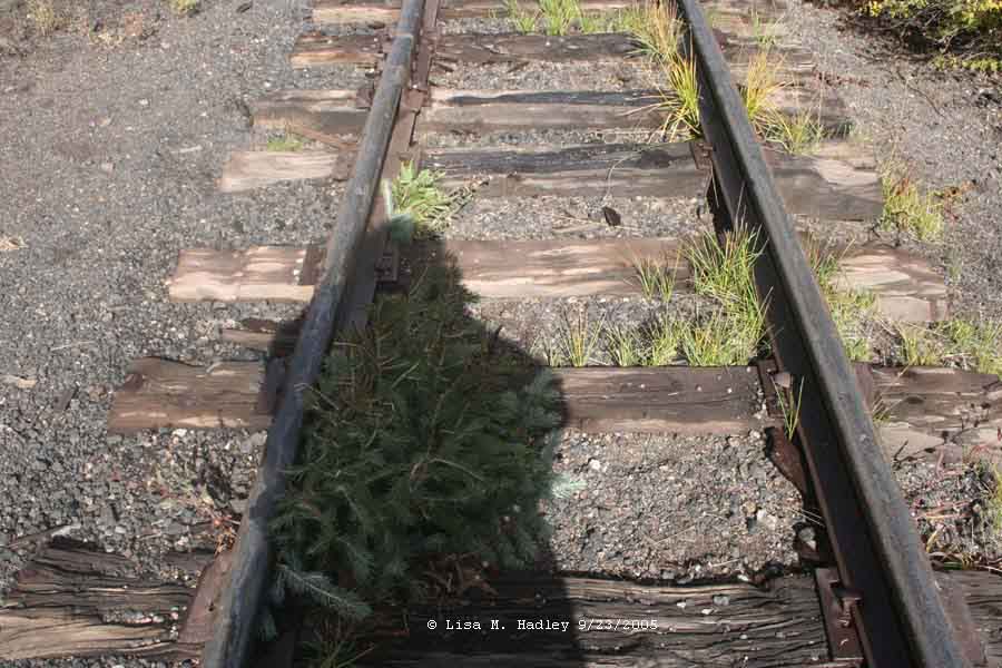 Cumbres & Toltec Scenic Railroad - Cumbres Yard