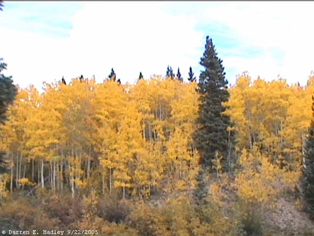 Cumbres & Toltec Scenic Railroad
