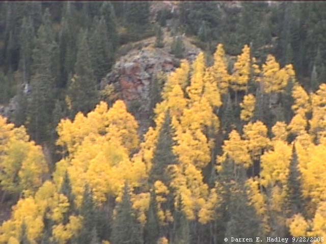 Cumbres & Toltec Scenic Railroad