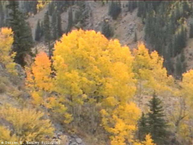 Cumbres & Toltec Scenic Railroad