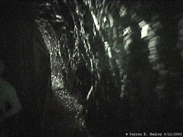 Cumbres & Toltec Scenic Railroad