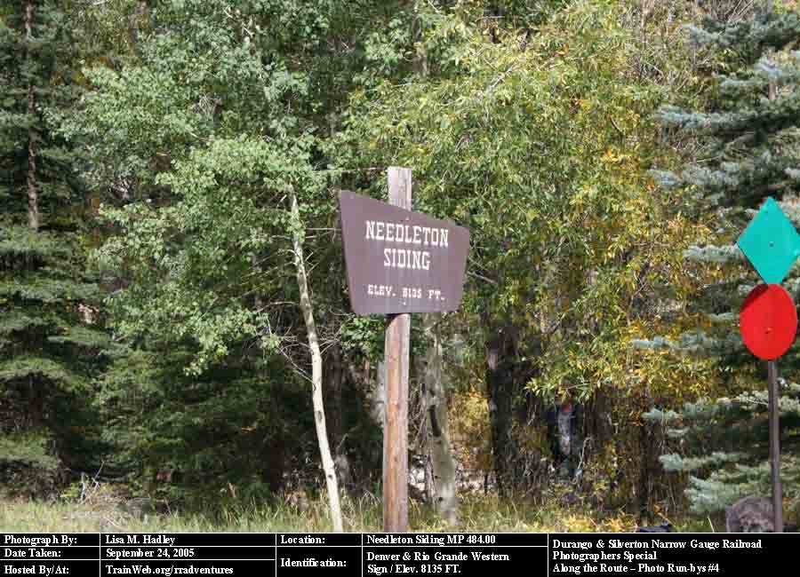 Durango & Silverton - Needleton Siding MP 484.00