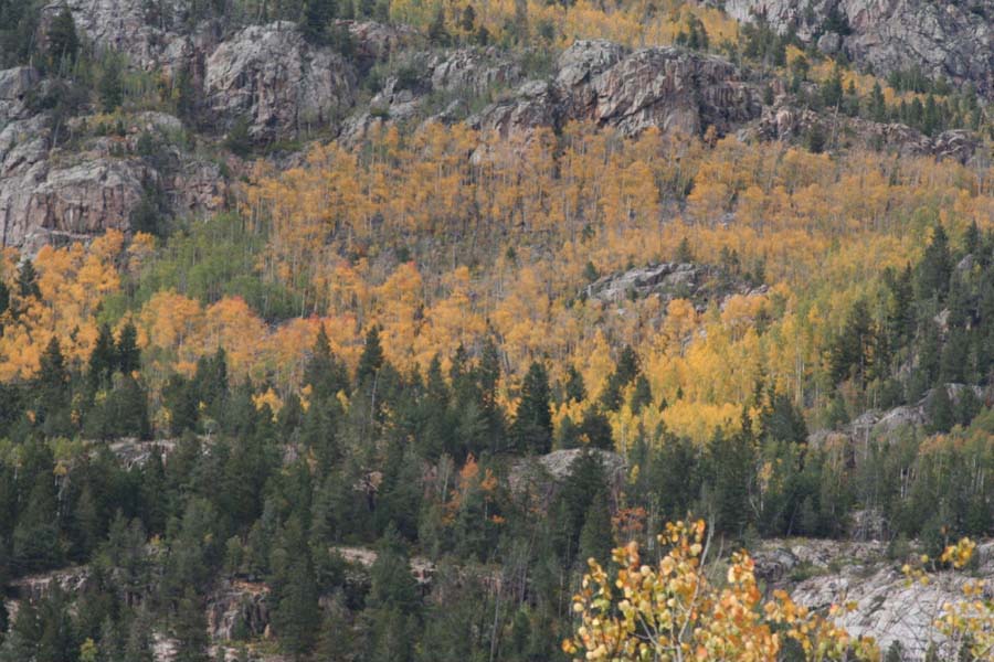 Durango & Silverton - Fall Foliage