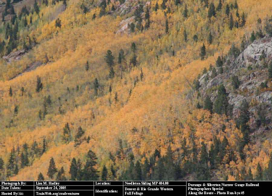 Durango & Silverton - Fall Foliage