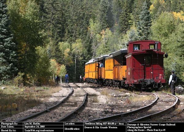 Durango & Silverton - Needleton Siding
