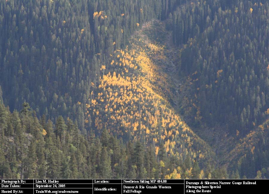 Durango & Silverton - Fall Foliage
