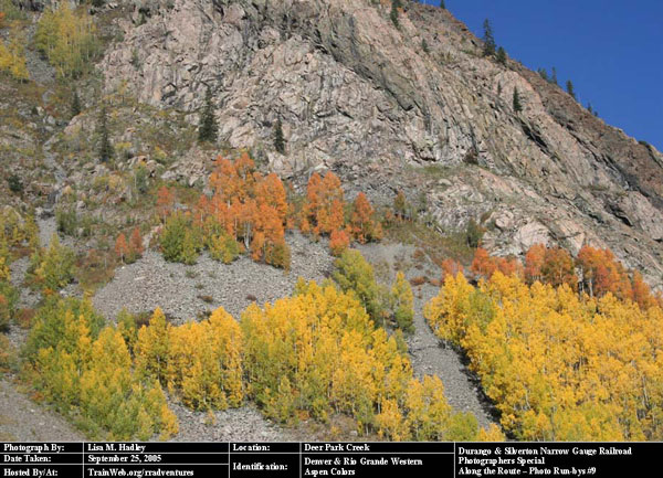 Durango & Silverton - Deer Park Creek