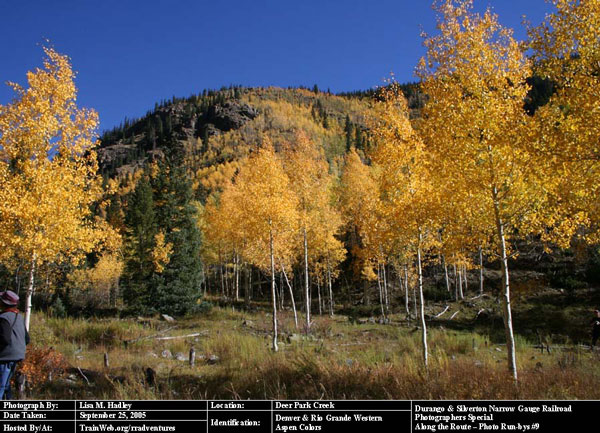 Durango & Silverton - Aspen Colors