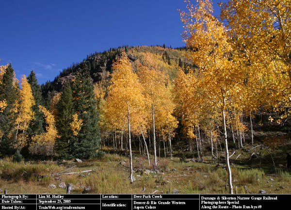 Durango & Silverton - Aspen Colors